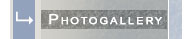 Photogallery